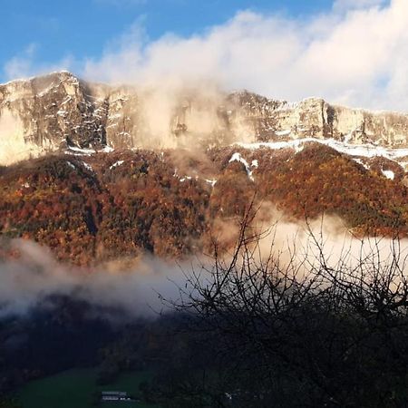 Le Gite De La Maison Soleil, Entre Lac Et Montagne アレックス エクステリア 写真